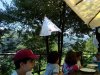 IMG_20210810_123116_6-FILEminimizer