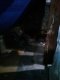 IMG_20210810_234110_3-FILEminimizer