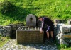 IMG_20210811_084544-800x568