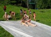 IMG_20210813_111704-800x572