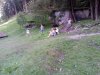 IMG_20210814_175541_2-FILEminimizer