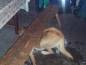 27-12-2001-fojer_019