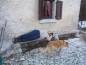 27-12-2001-fojer_060