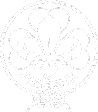 Gruppo Scout Zogno 1